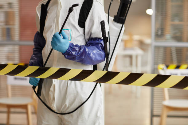 Professional Hoarding Cleanup technician working in Dublin, IN